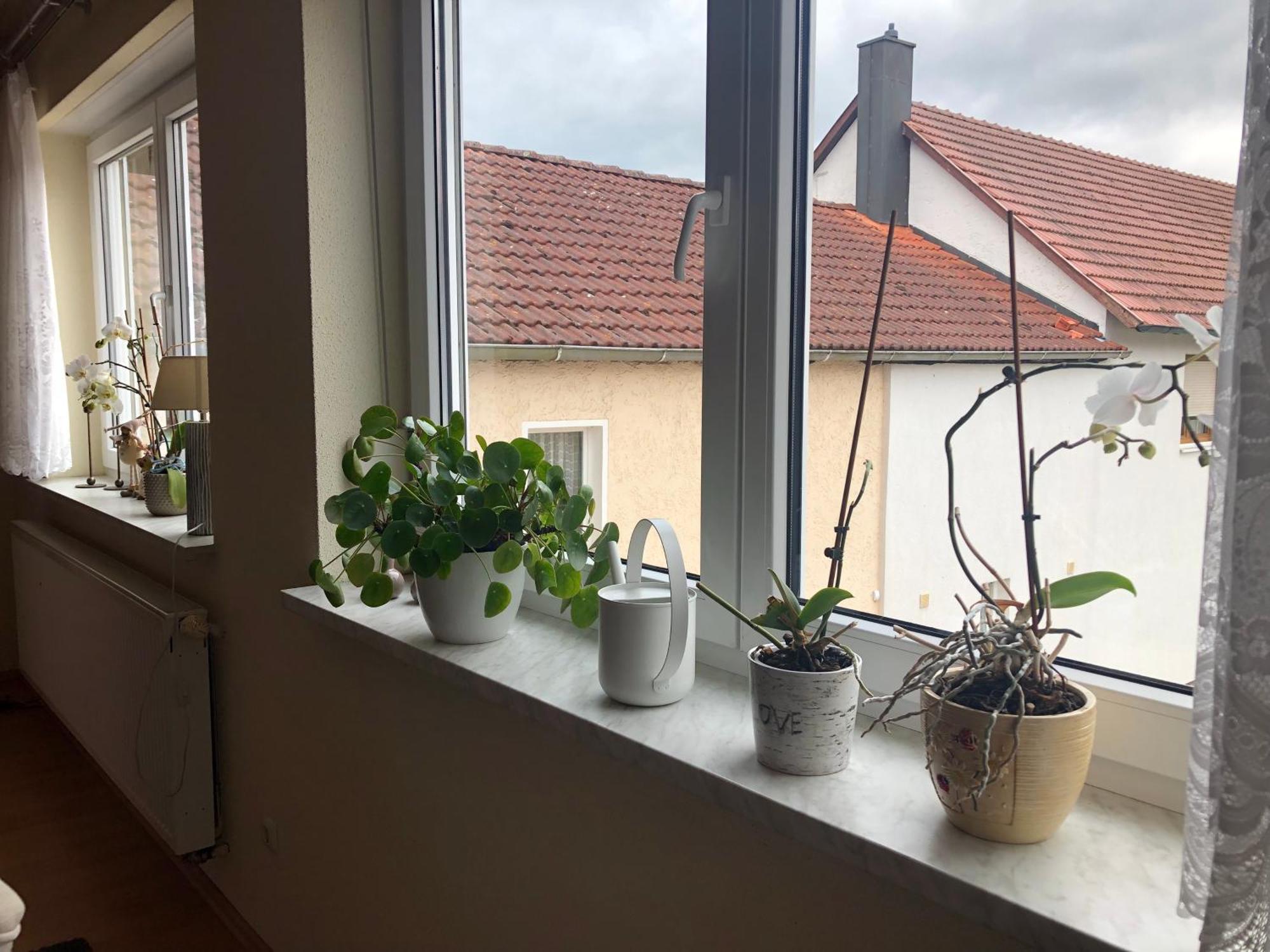 Ferienwohnung Am Gruenen Band Hellingen Екстериор снимка